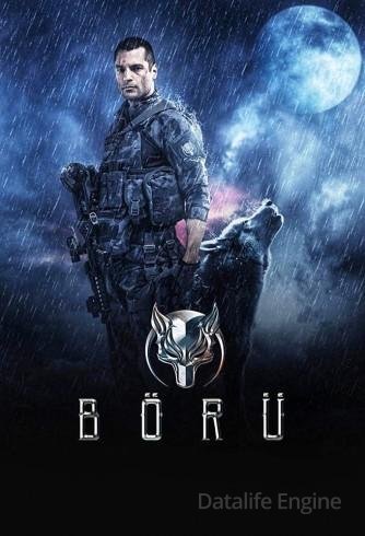 Image Wolf
