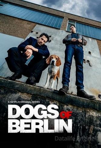 Image Dogs of Berlin