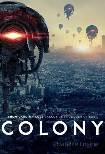 Image Colony