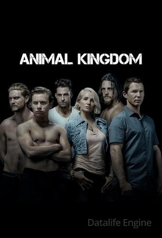 Image Animal Kingdom