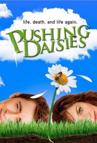 Image Pushing Daisies
