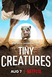Image Piccole Creature