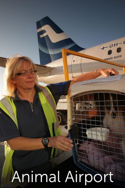 Image Airport security: animali
